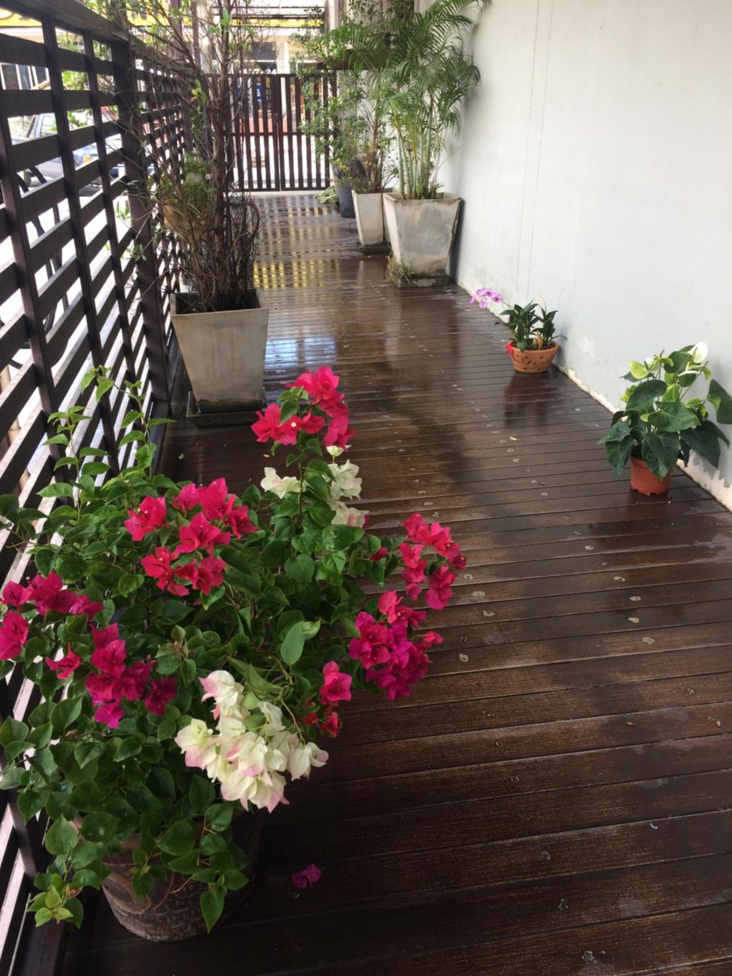 My Living Place Samui Mae Nam Bagian luar foto